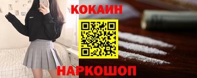 спиды Гай