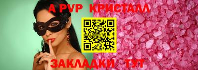 спиды Гай