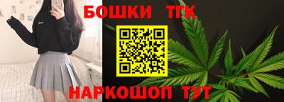 спиды Гай