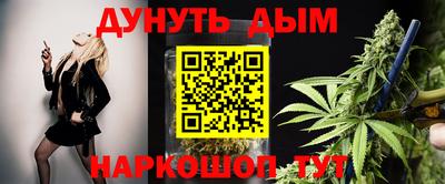 спиды Гай