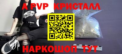 спиды Гай