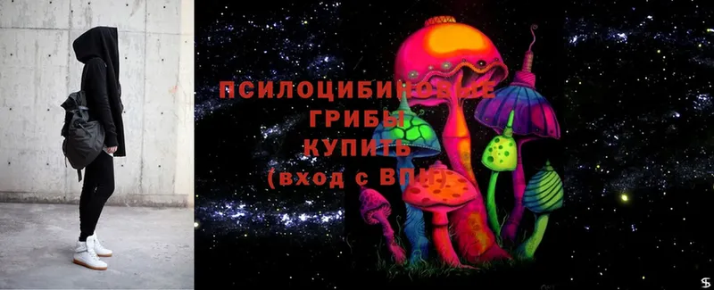 продажа наркотиков  Алушта  Псилоцибиновые грибы Magic Shrooms 