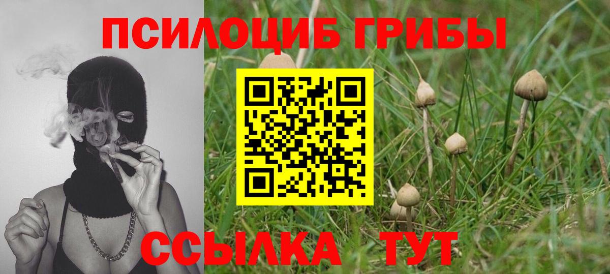 Псилоцибиновые грибы Cubensis  Алушта 