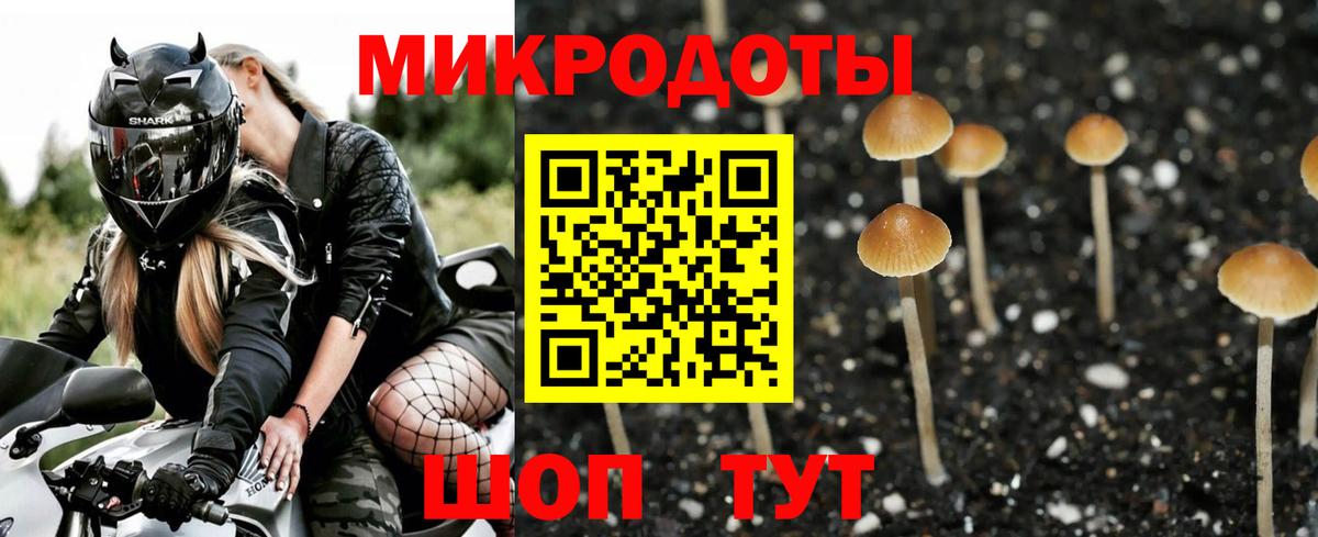 Псилоцибиновые грибы ЛСД  Псилоцибиновые грибы прущие грибы  Вход с VPN  Алушта 